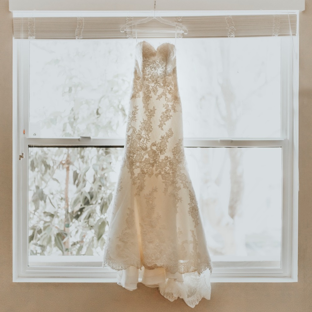 Pronovias Princia Mermaid Wedding Dress